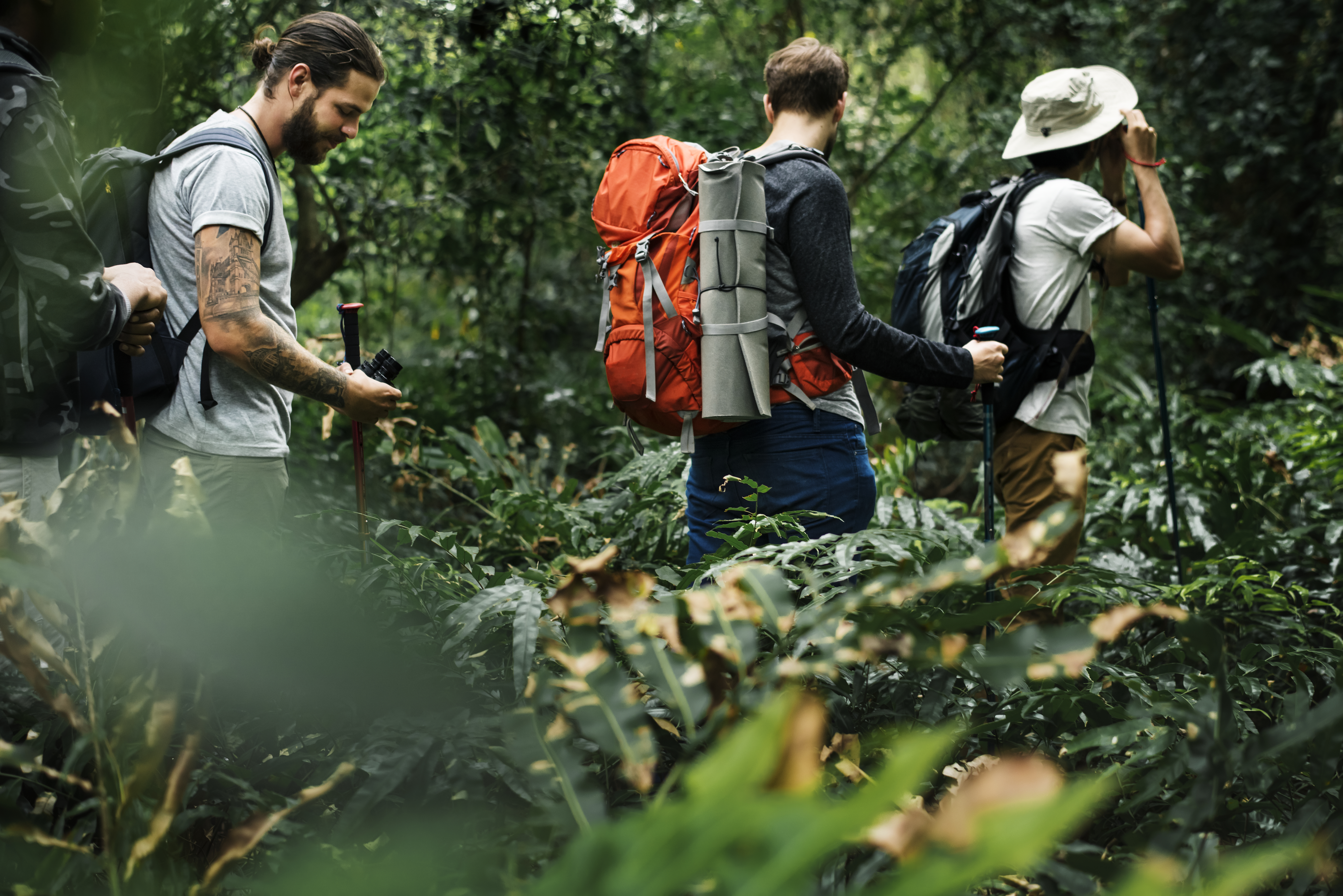 Amazon Rainforest Trek